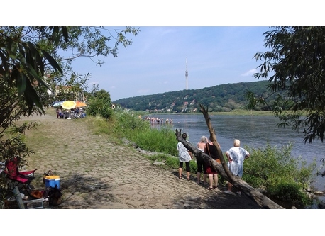 the river Elbe near our home