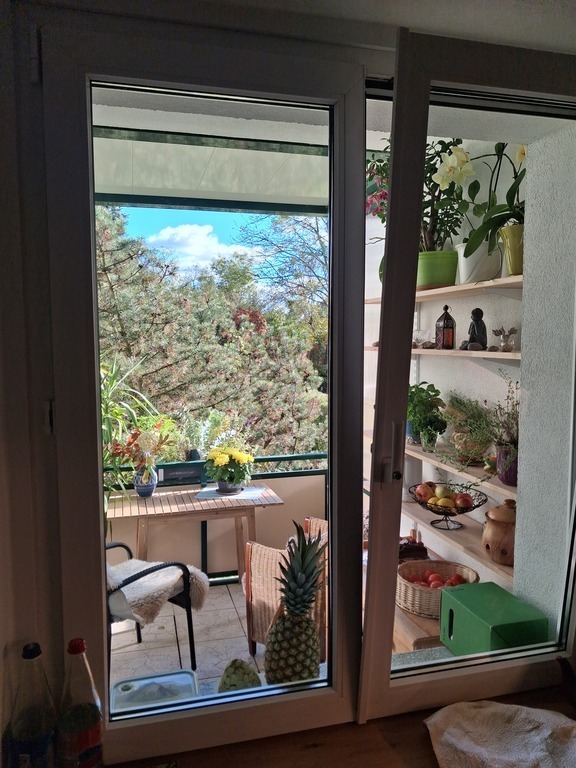 view through the kitchen window to the balcony