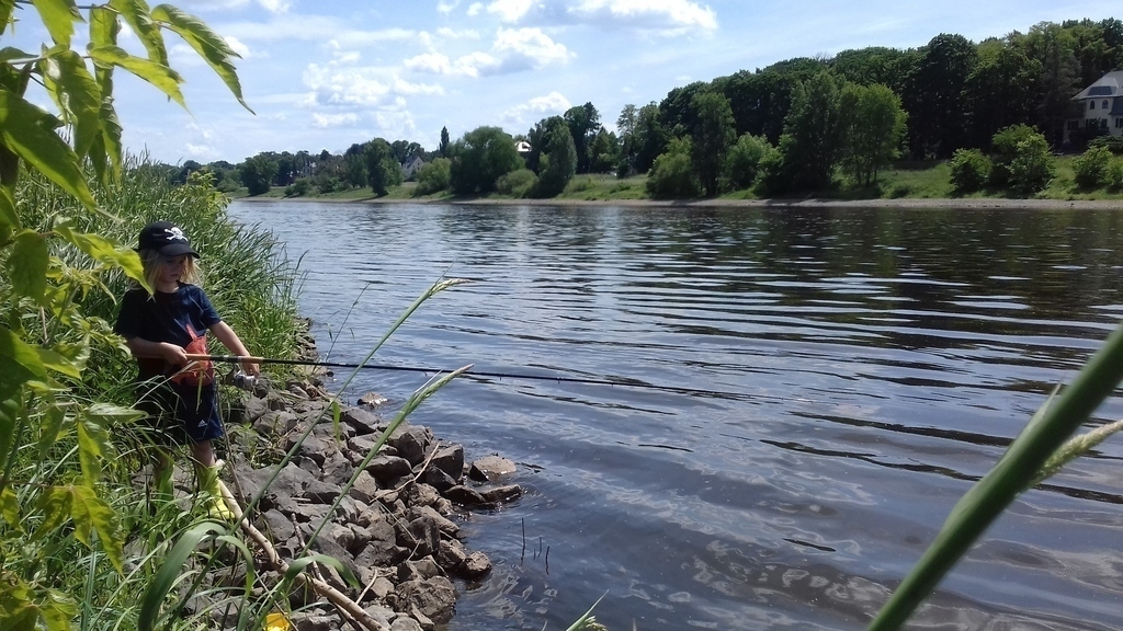 near our home on the river Elbe