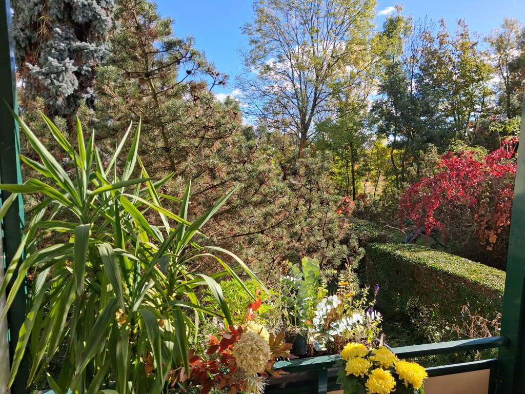 view from the balcony