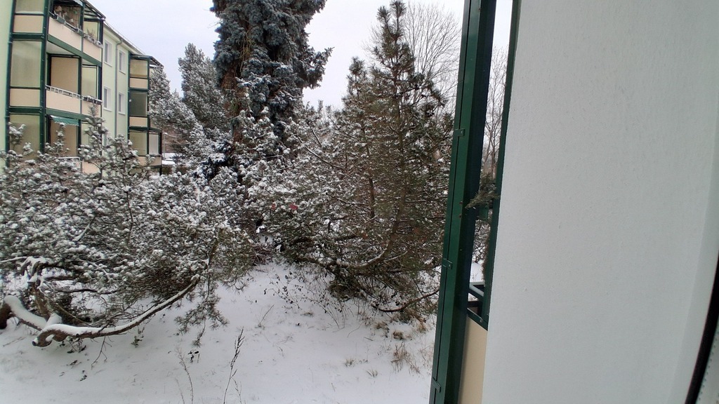 view from the living room window