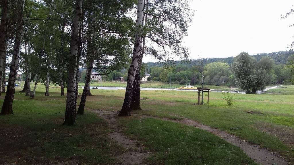 the ferry to castle and park Pillnitz