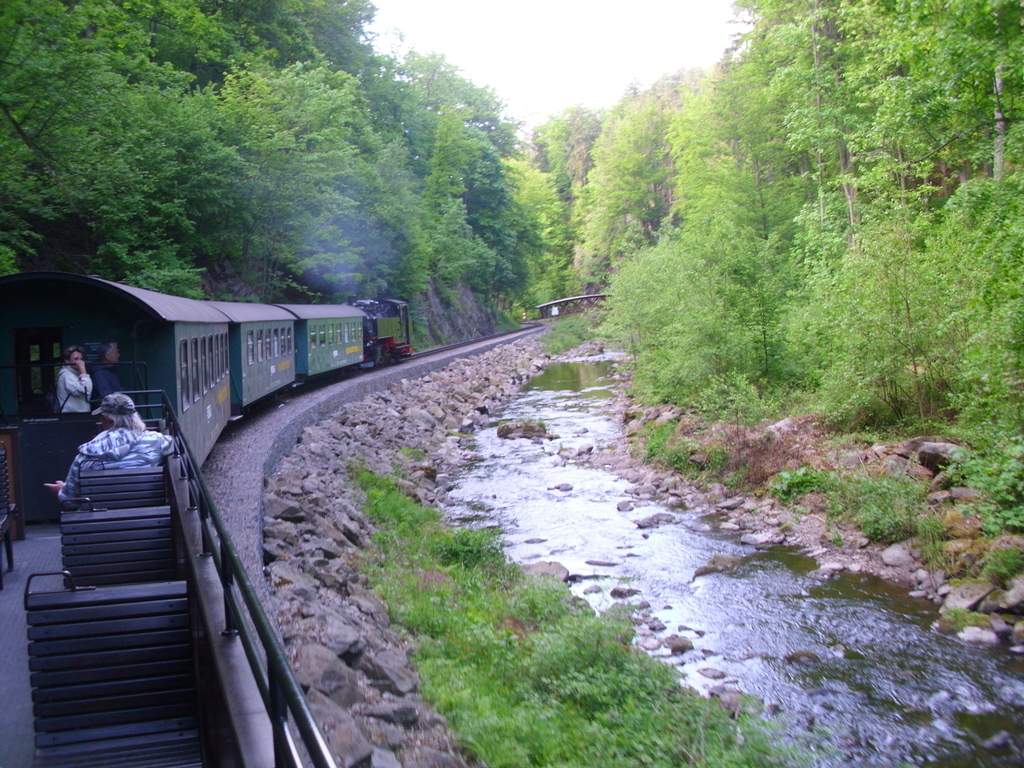 riding the small steam train through the beautiful surroundings of Dresden
