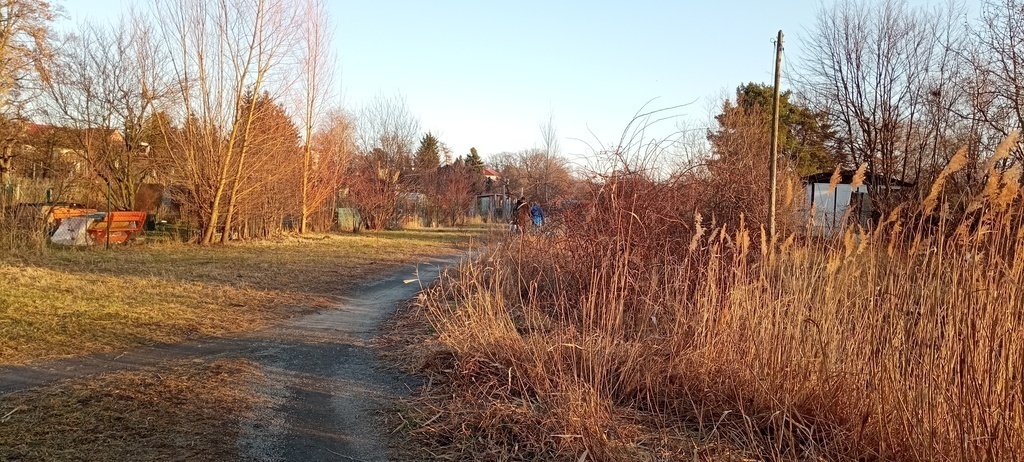 the area close to our flat