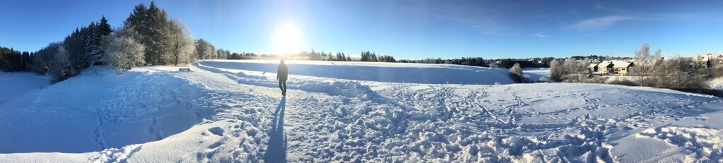Lake in the Harz mountain range (50 min. drive by car).