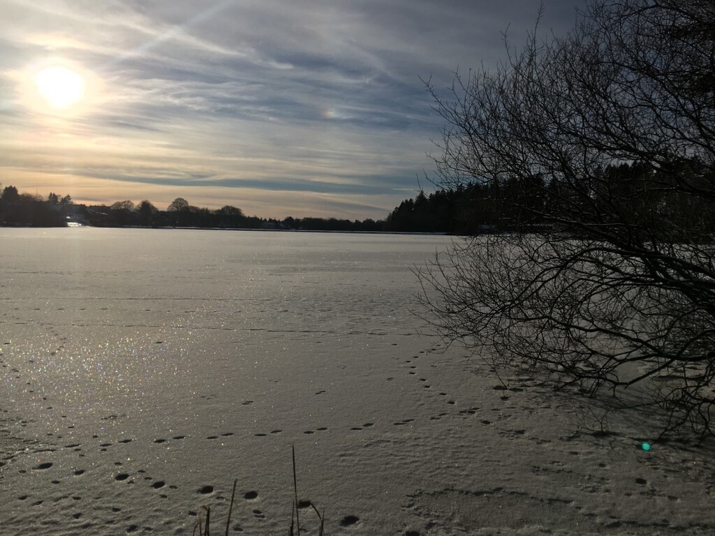 Lake in the Harz mountain range (50 min. drive by car).