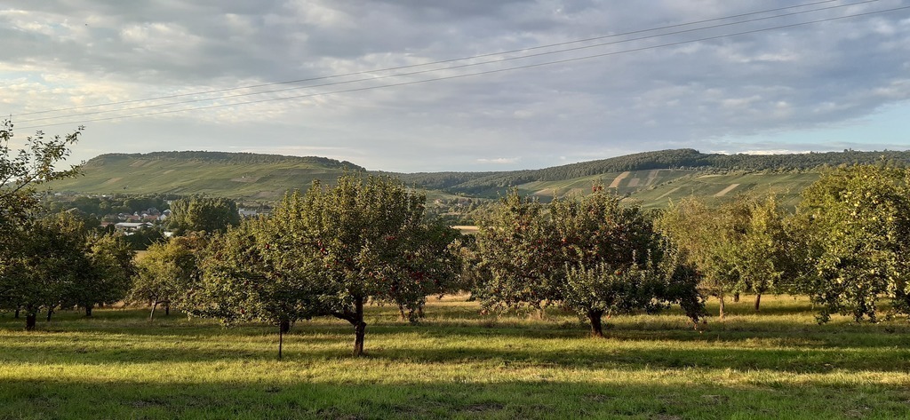 5 minutes walk from our home