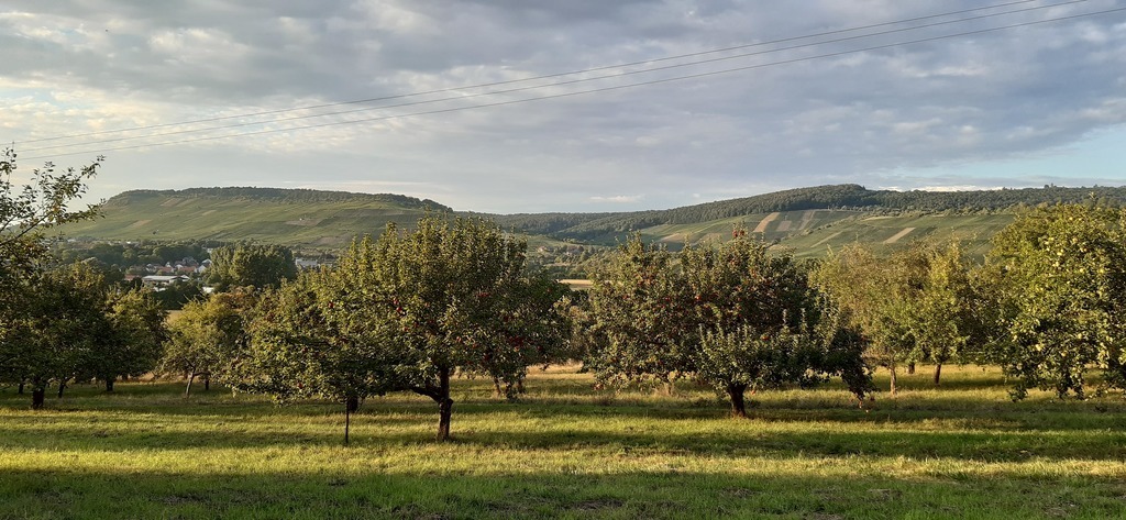 5 minutes walk from our home