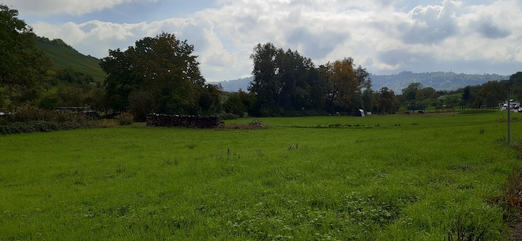 20 minutes walk away 