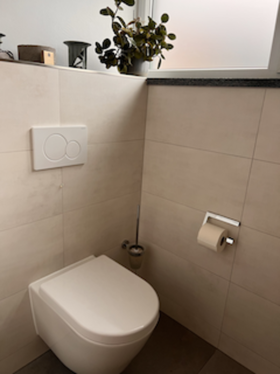 Gäste-WC Ergeschoß