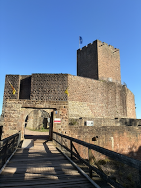 eine der vielen Burgen    -BurgLandeck-