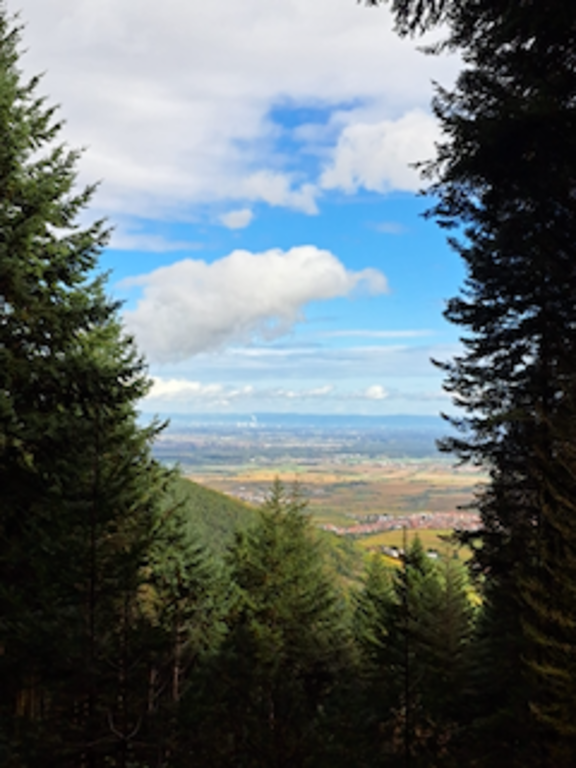 Blick ins Tal