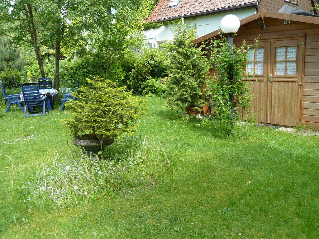 Gartenhütte groß und Sitzplatz am Teich 1