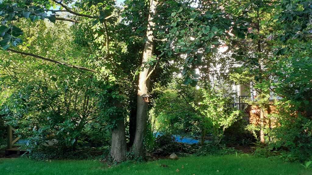 Garten mit Blick auf Teich