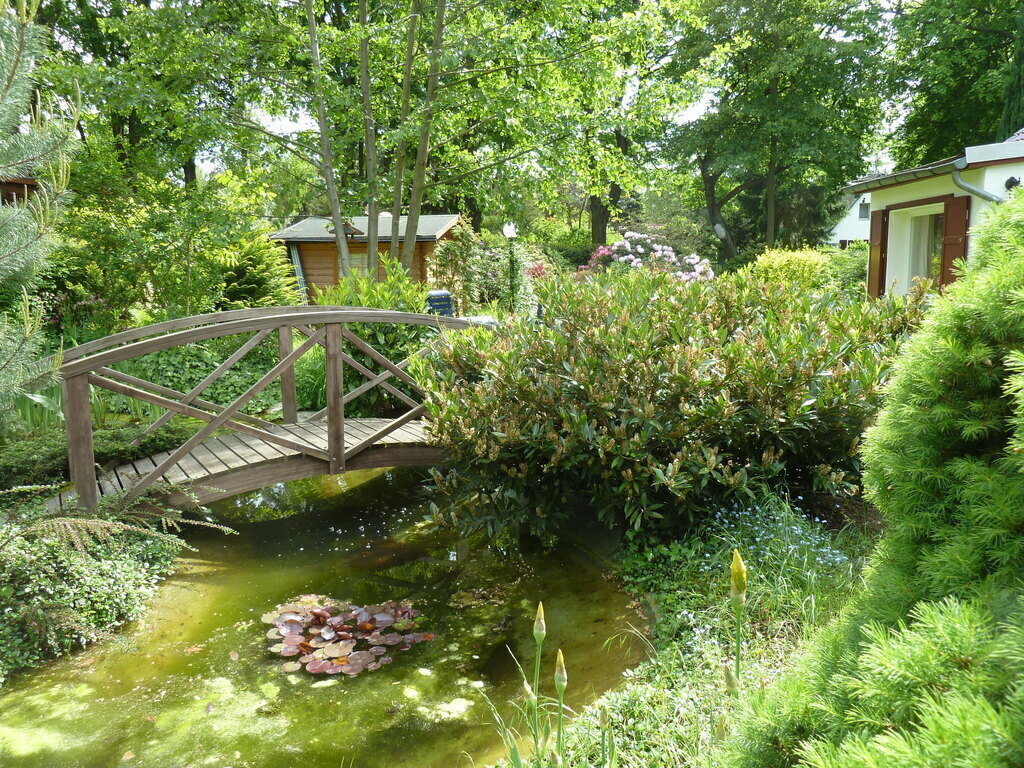 Teich mit Teichbrücke