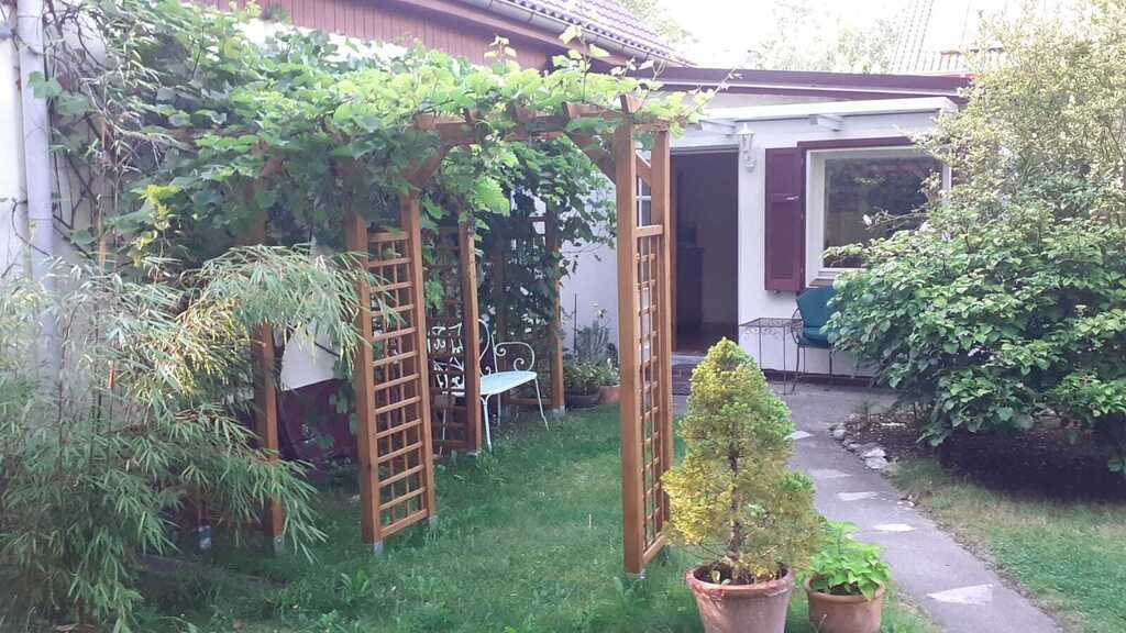 Eingangsbereich mit Weinlaube