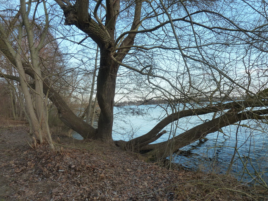 Am Niederneuendorfer See