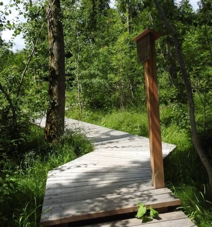 beautiful ways to go for a walk