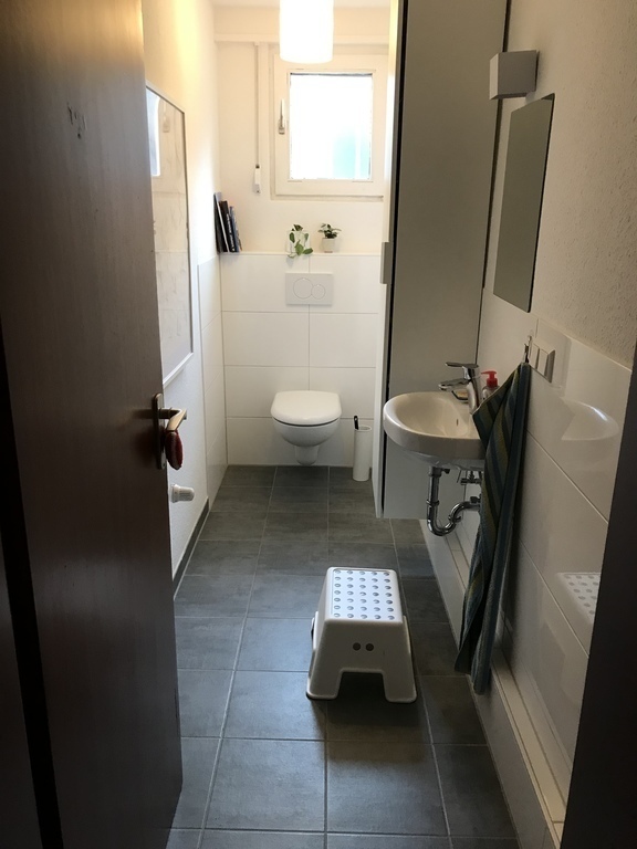 Small daylight bathroom 