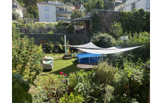 our garden in Summer 2025