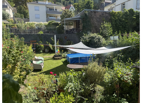 our garden in Summer 2025