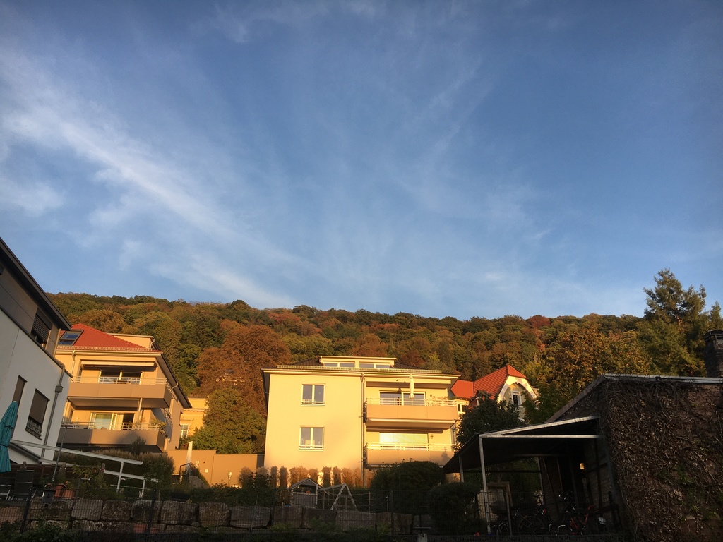 view from the kitchen