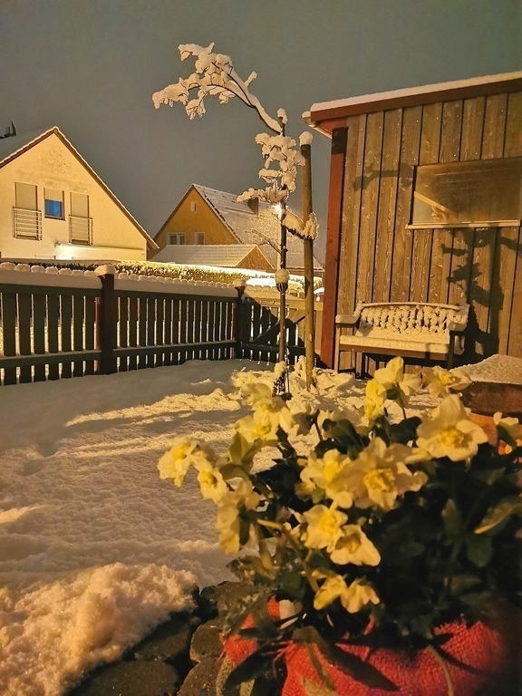 Vorgarten Winter