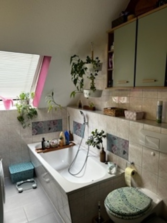 Badezimmer ( Wanne + WC )/ bathroom ( bath + toilet )