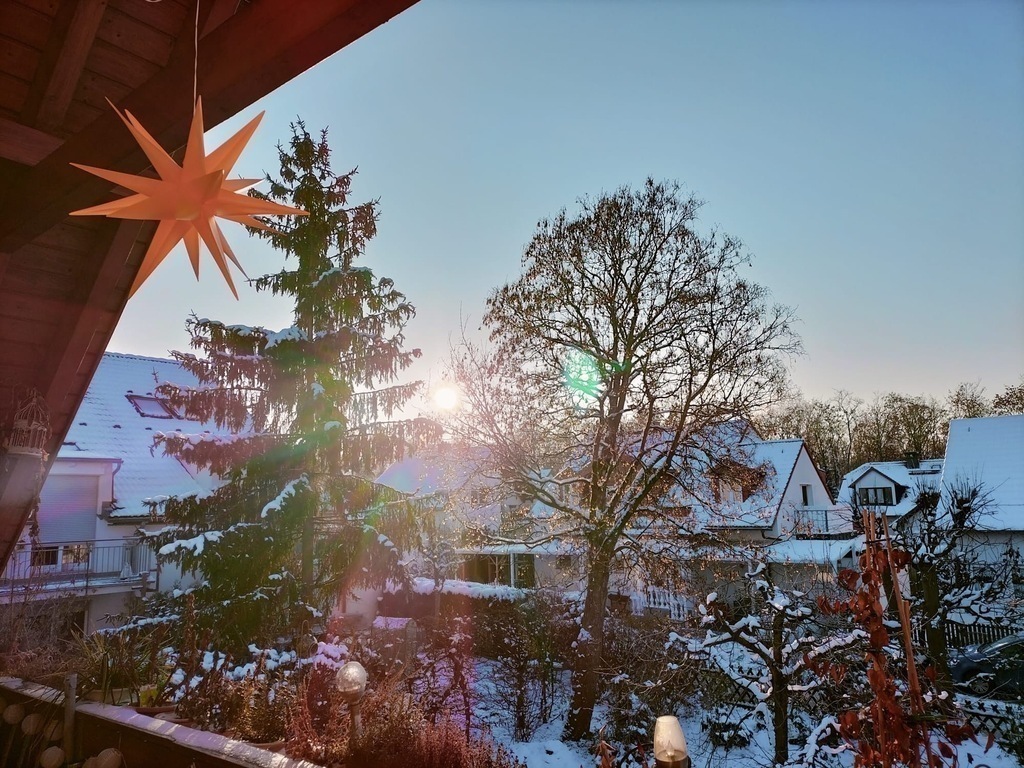 Weihnachtsstern / christmas star