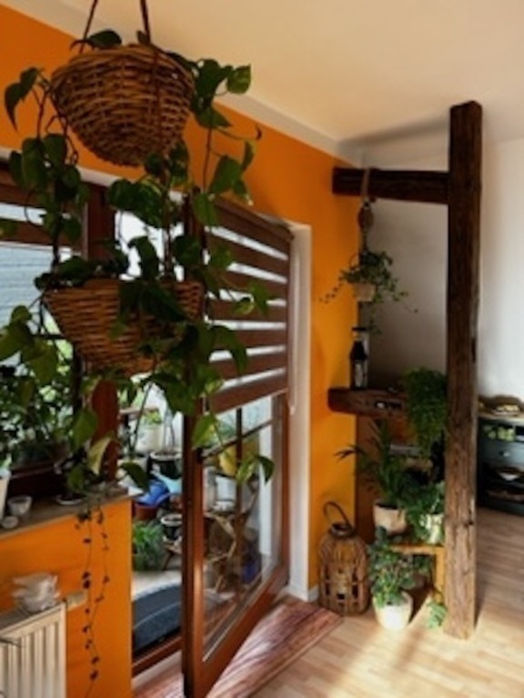 Wohnzimmer / living room