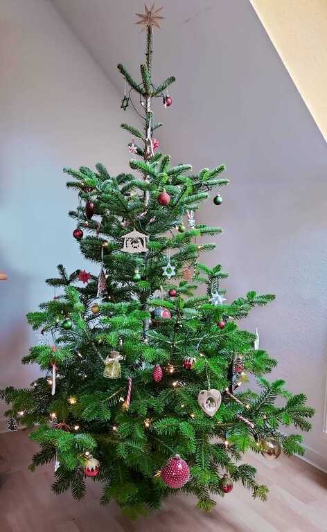 Unser Weihnachtsbaum 2022 / our Christmas tree 2022 🎄
