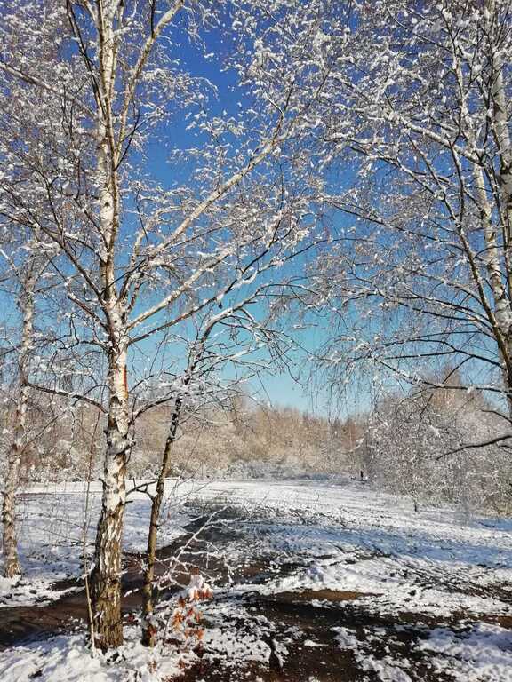 Winterimpression / impression of winter 2🤍