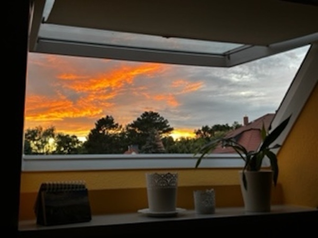 Ausblick Abendsonne /  evenig sun view 🧡💛