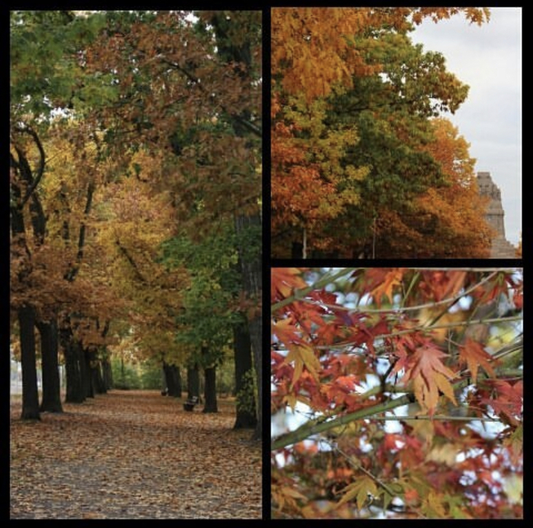 Im Herbst / in autumn🍂🍁