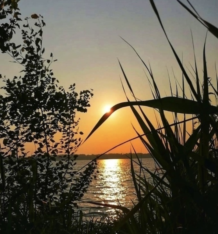 Cospudener in Abendstimmung / lake Cospuden sundown