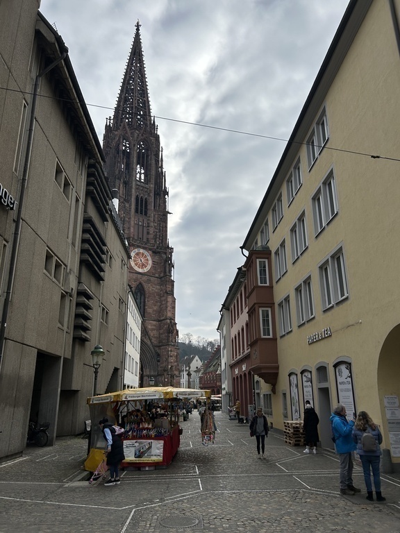 Das Freiburger Münster (Münsterturm)