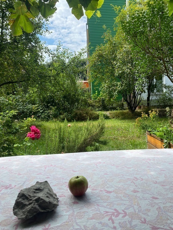 Blick von der Terrasse in den Garten