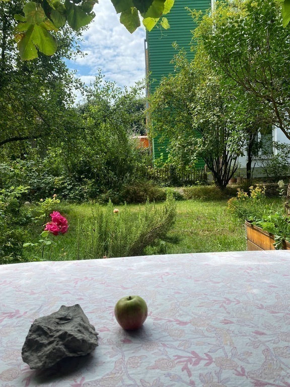 Blick von der Terrasse in den Garten