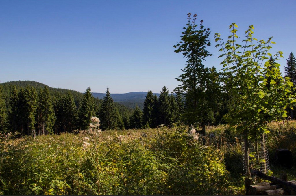 The Thuringian Forest invites for hiking