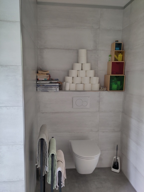 toilet master bathroom