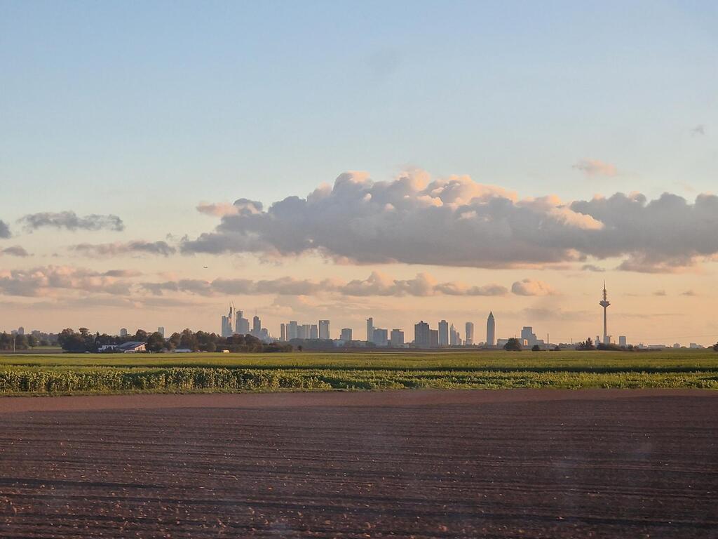 view on the city from the hood