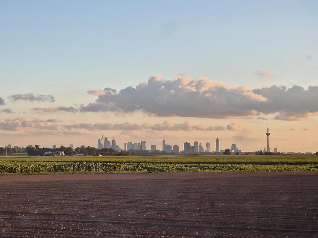 view on the city from the hood