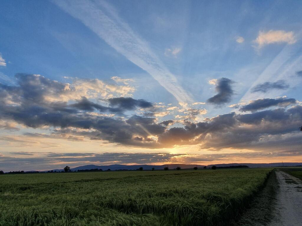 evening view on the taunus hills