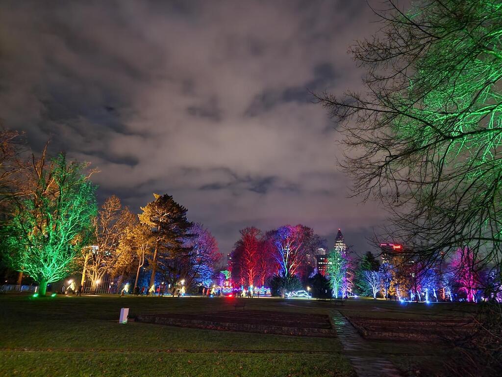 winter lights in the botanic garden
