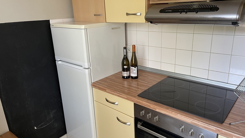 Kitchen 3/6: stove, oven, fridge and freezer