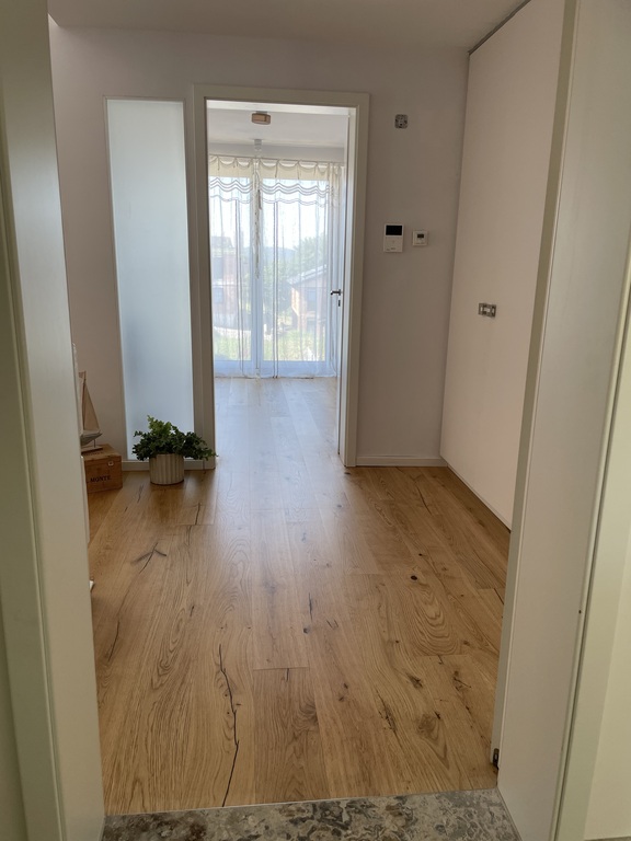 Entrance in the Appartement