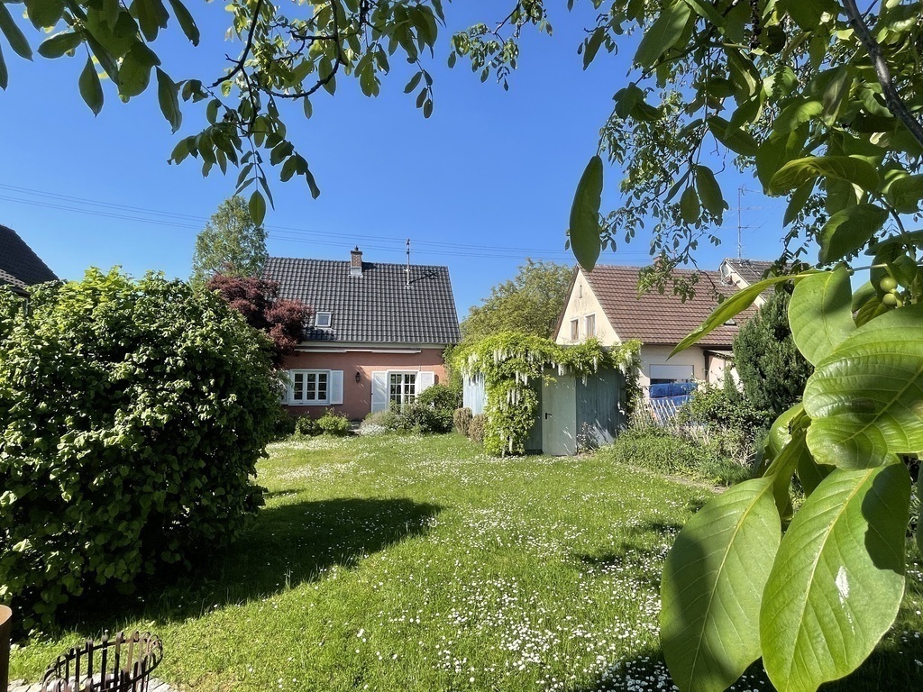 Blick vom hinteren Garten auf das Haus