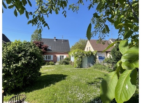 Blick vom hinteren Garten auf das Haus