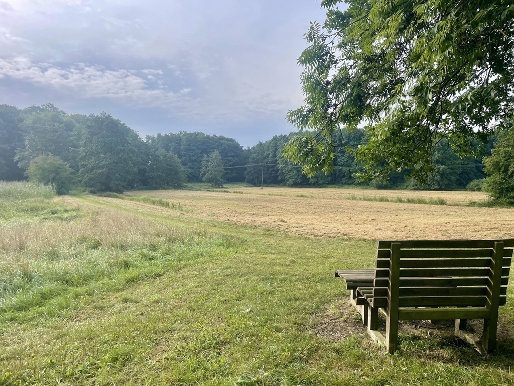 Auf dem Weg zum Rugensee