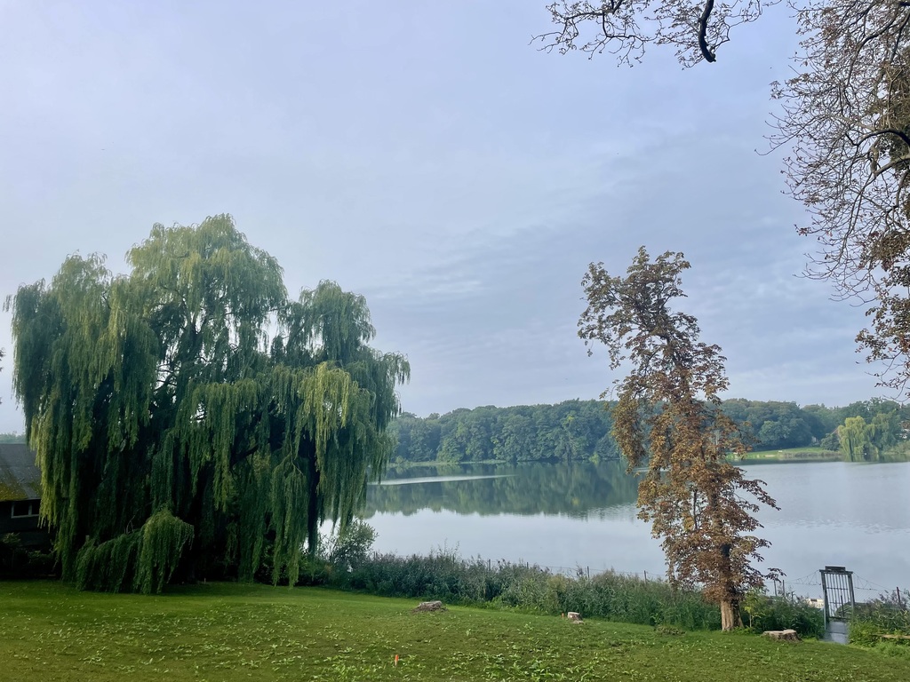 Trebbower See